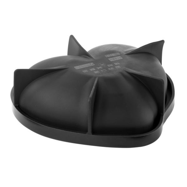 moule a gateau silicone pavocake passion 3