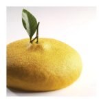 moule cedric grolet pavoni entremet citron 1